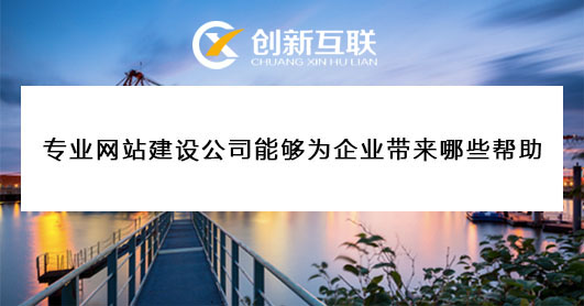 專(zhuān)業(yè)網(wǎng)站建設(shè)公司