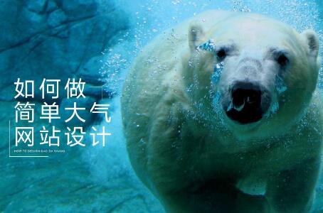 如何設(shè)計簡潔的網(wǎng)站