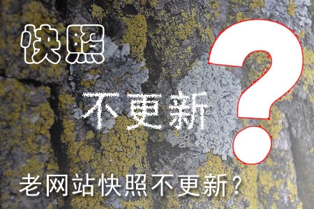 哪些因素造成老網(wǎng)站快照不更新？