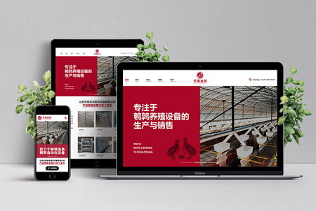 網(wǎng)站建設公司